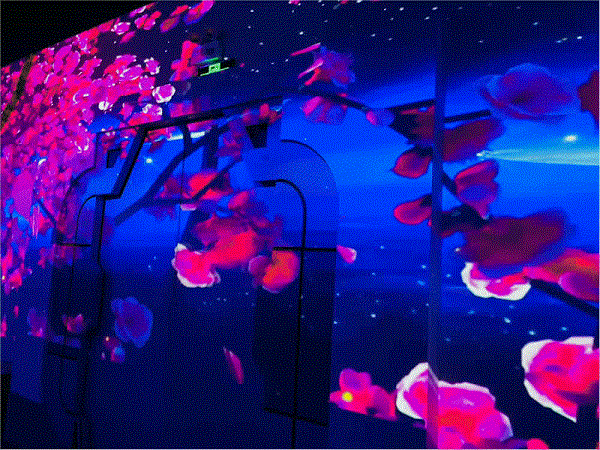 深圳首個全息校區全新升級 ！沉浸式全息教學開啟新時代！