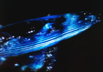 深圳首個全息校區全新升級 ！沉浸式全息教學開啟新時代！