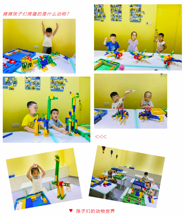 暑假班結業 | 努力一夏，收獲成長